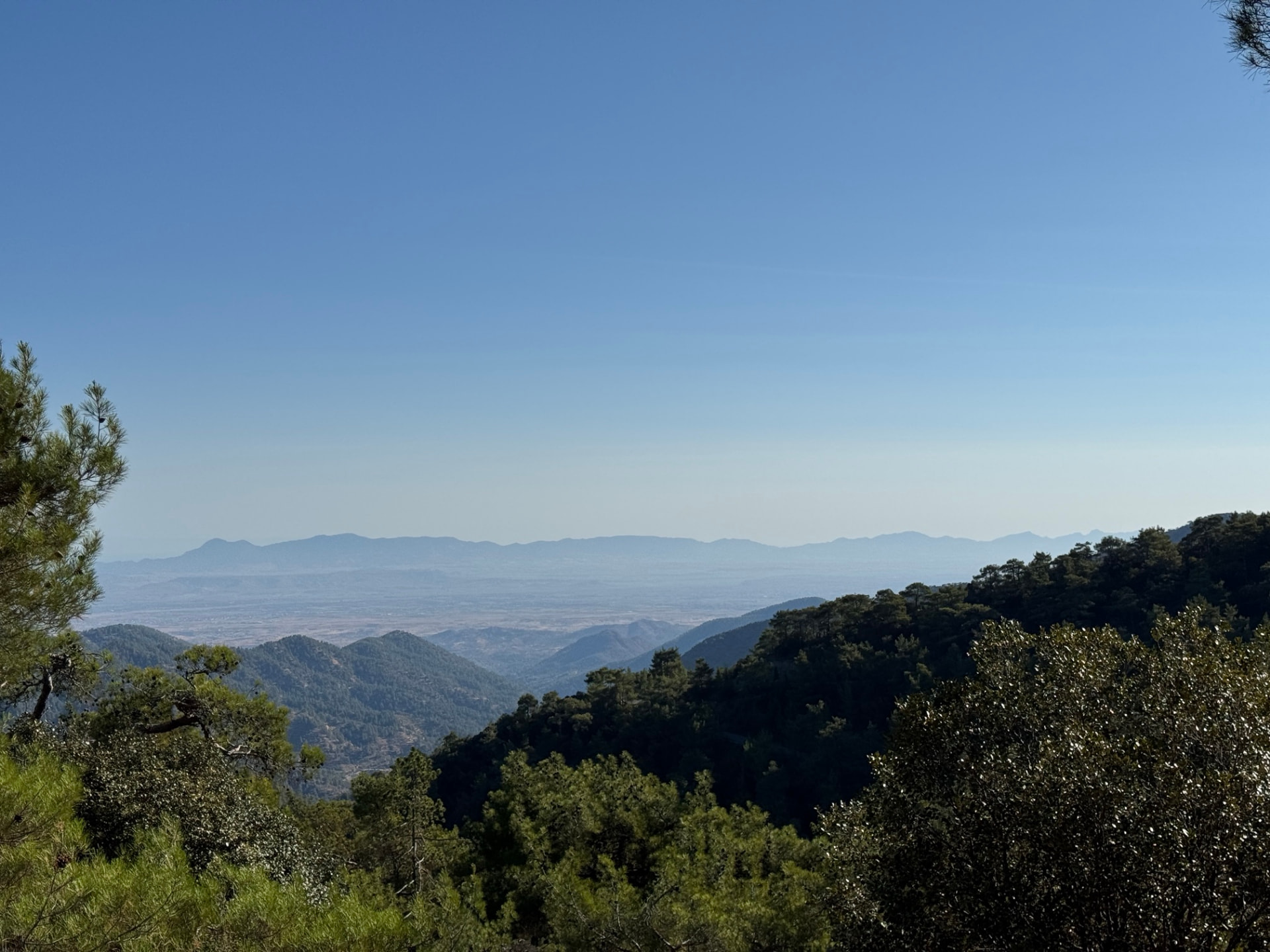 A view over hazy foothills and the distant plain framed by pine branches under a clear blue sky