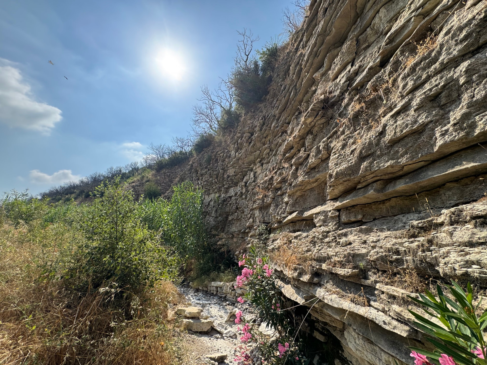 The dry riverbed at the mouth of Klimadia Gorge, with oleander in bloom and the sun high above the canyon rim