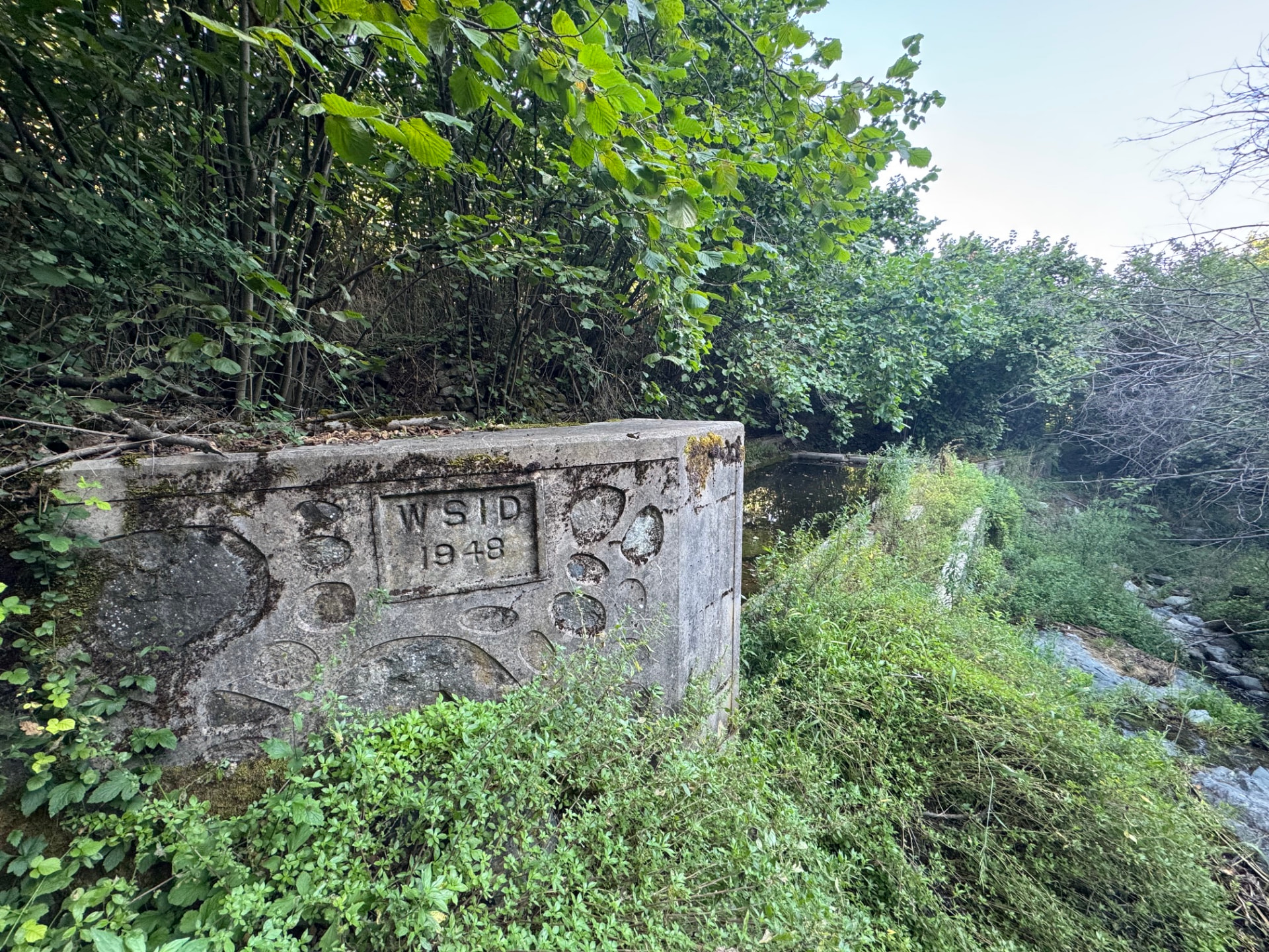 An old stone fountain surrounded by greenery