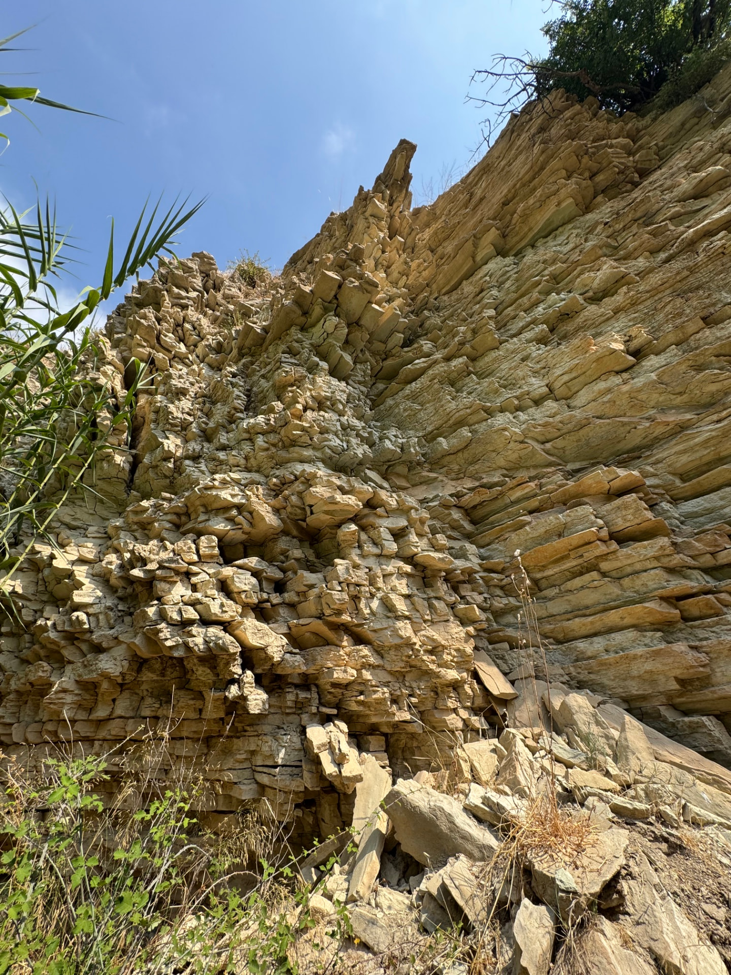 Golden light on the sculpted rock wall of Klimadia Gorge with reeds leaning in from above