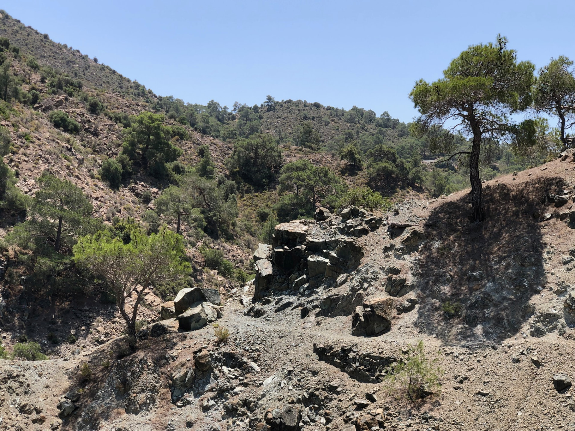 Rocky hillside trail near Apsiou winding through pine trees under a clear blue sky