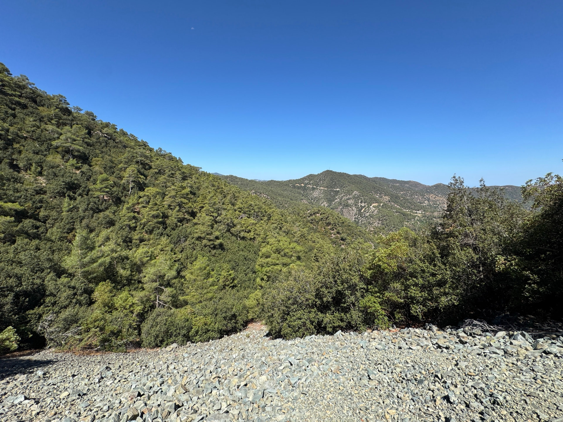 A loose rocky scree slope in the foreground with pine-covered hills beyond