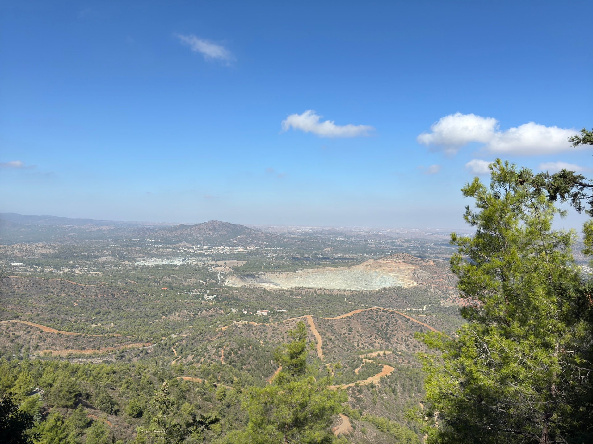 A wide valley seen past the branches of a young pine