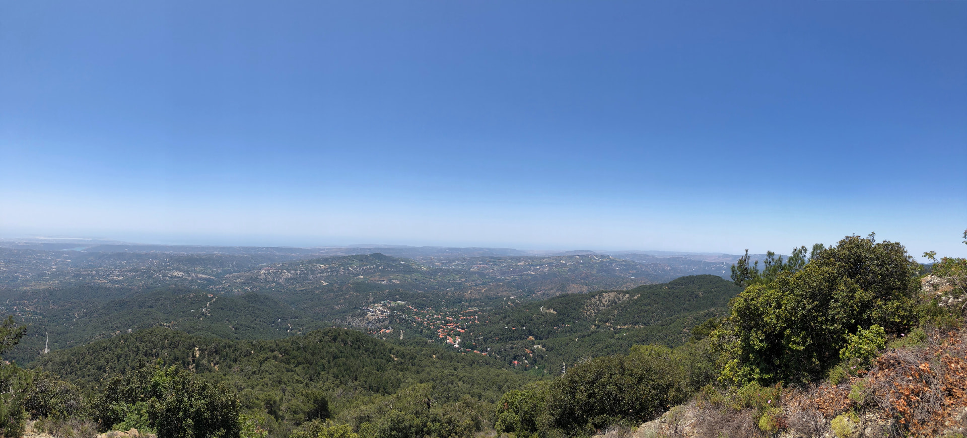 Hazy panorama over low hills from a bushy ridge