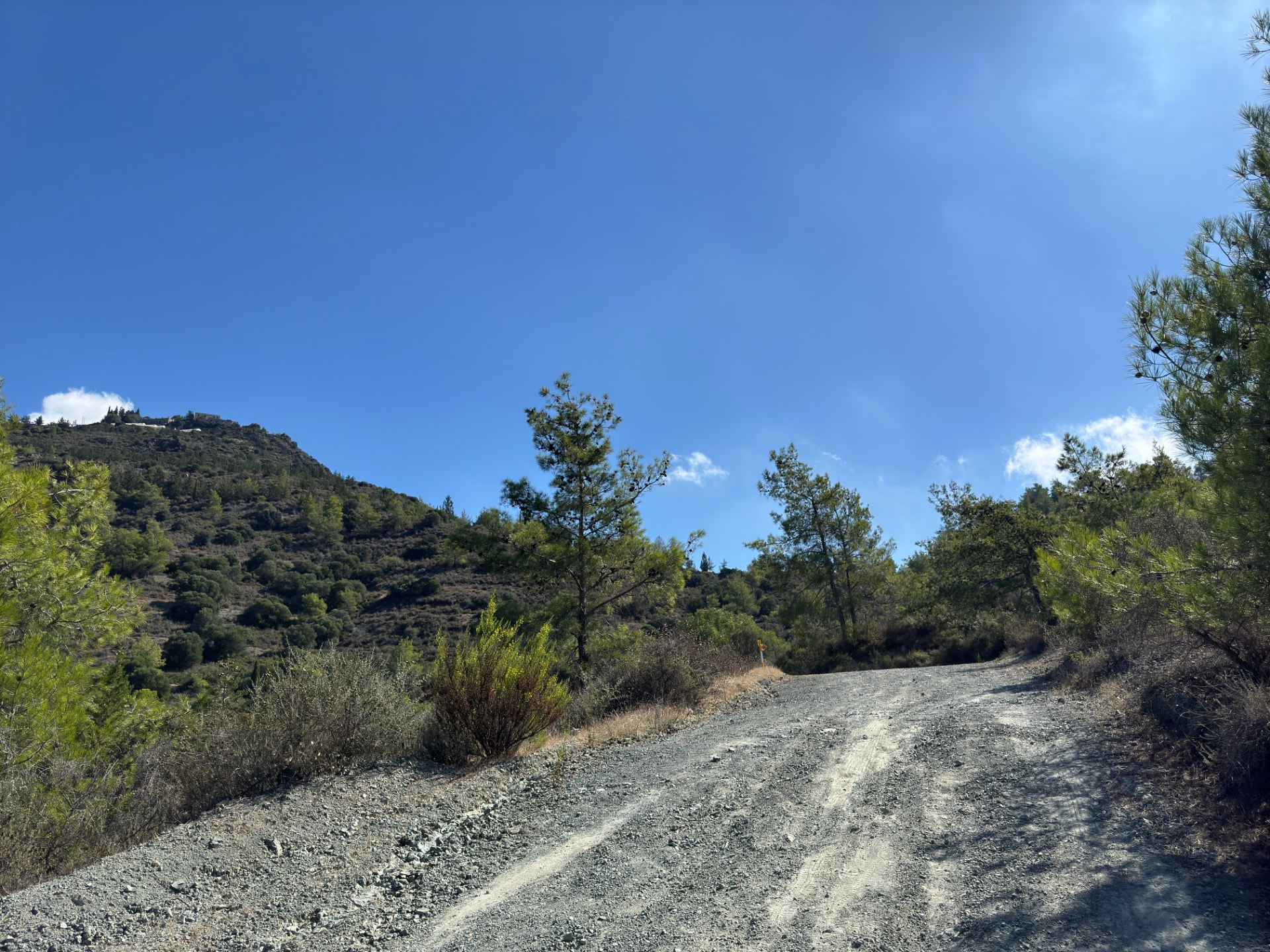 A gravel road climbing through pines toward Stavrovouni hill