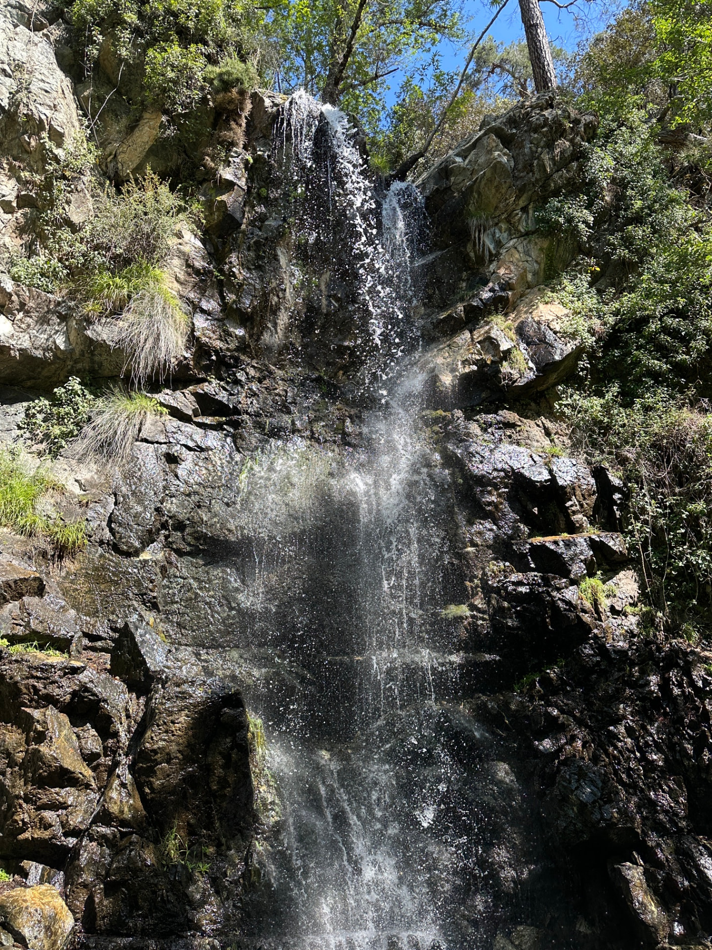 Caledonia waterfall pouring down dark rocks among green plants