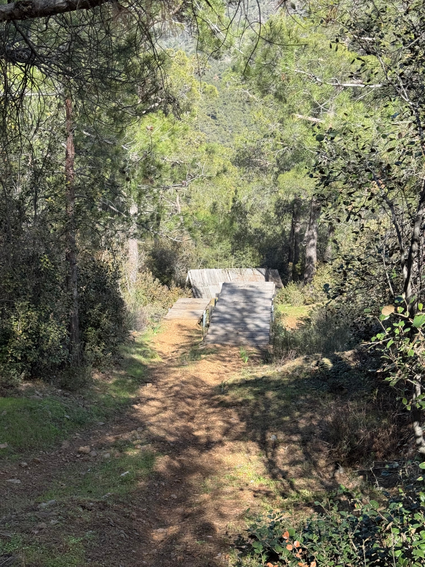 Wooden downhill bicycle trail crossing a forested path in Macheras