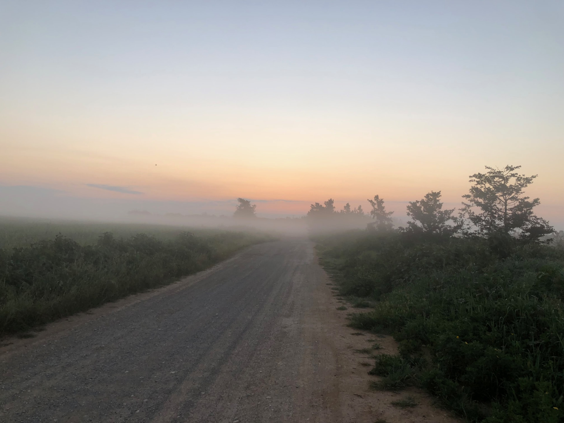 A misty gravel road on the E4 Path at dawn