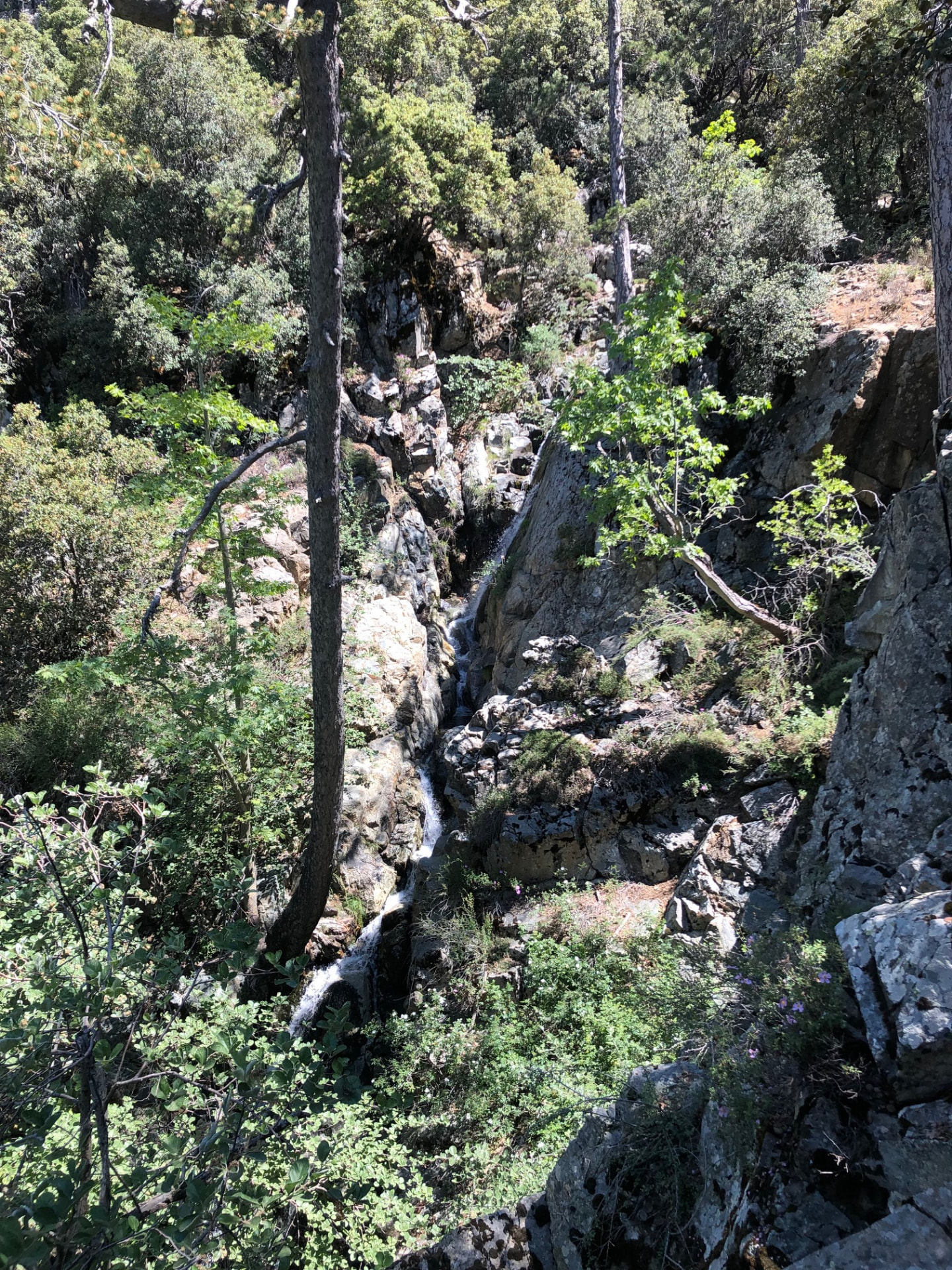 Looking down the gorge as the stream drops in white threads over dark rocks