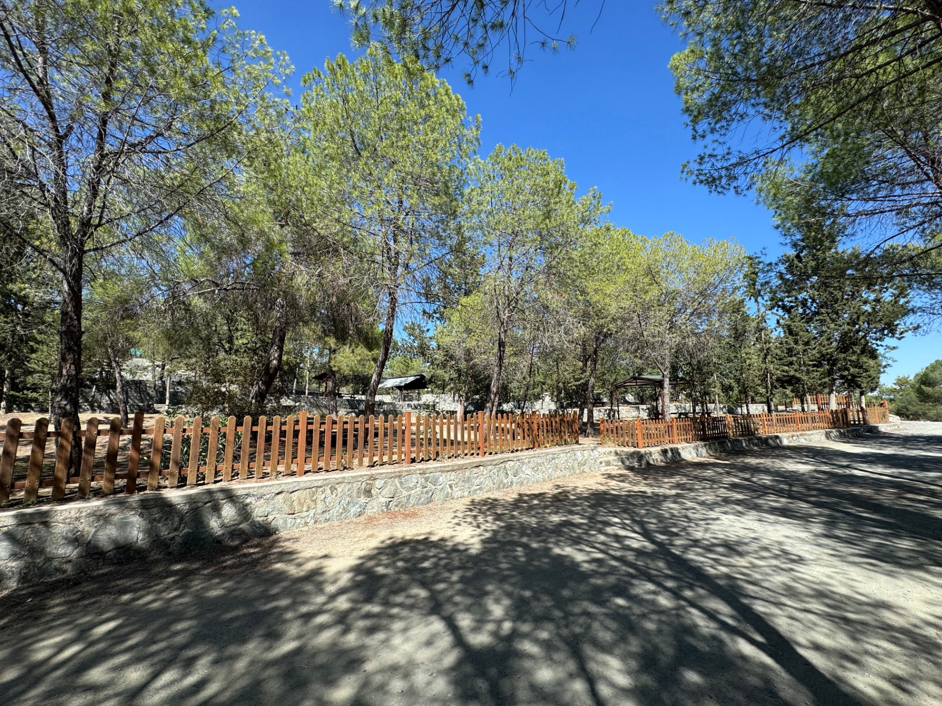 A picnic site with wooden fences under pines