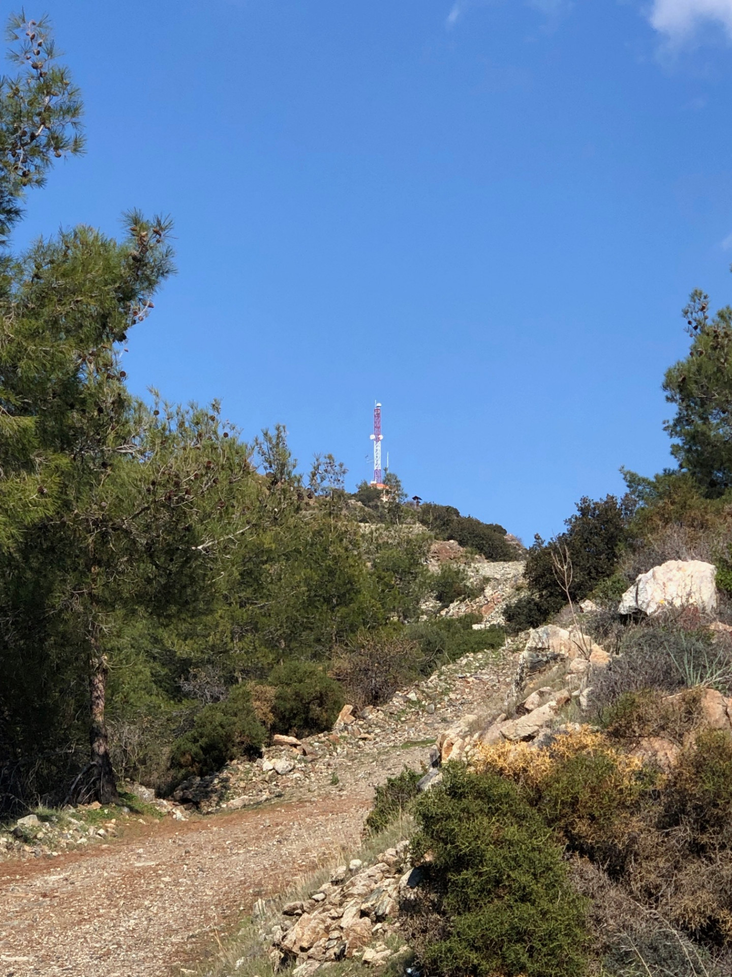 The Kakomalis summit antenna framed by pine trees under a deep blue sky