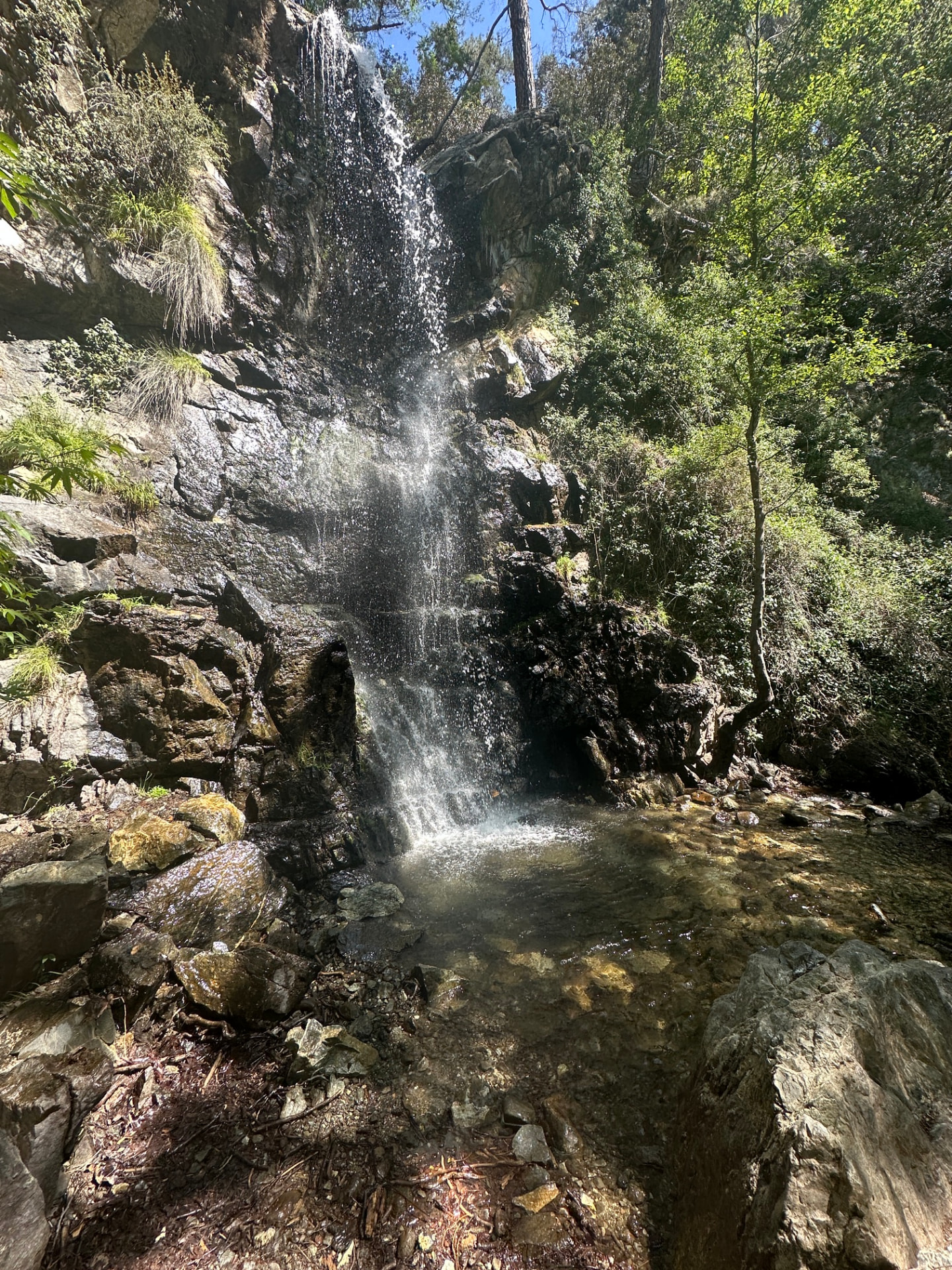 Caledonia waterfall splashing into a rocky pool surrounded by trees