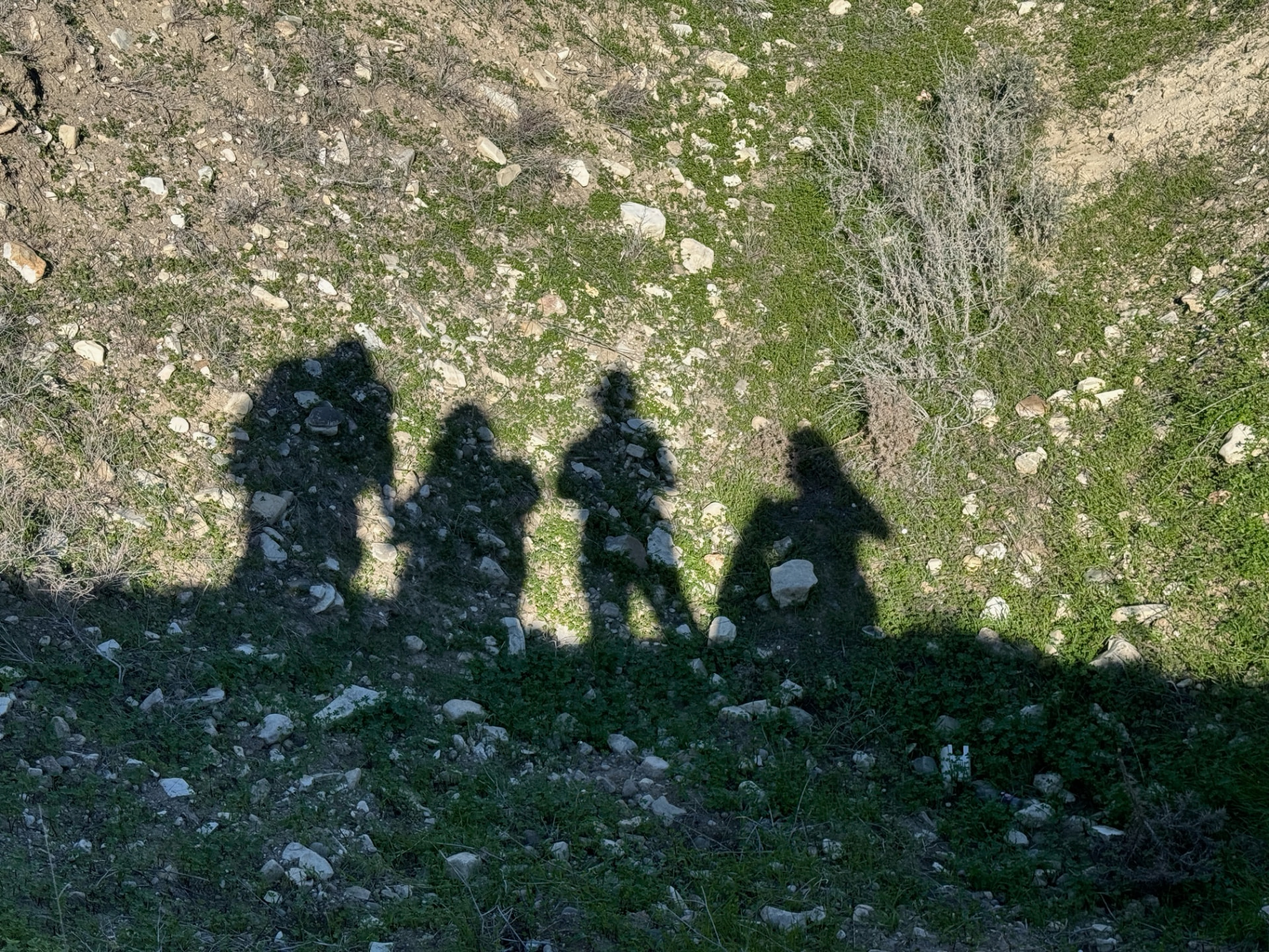 Shadows of four hikers cast on grass and rocks — Eric, Oleg, Rio and Henry